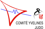 logo_comite-78_grand-picto
